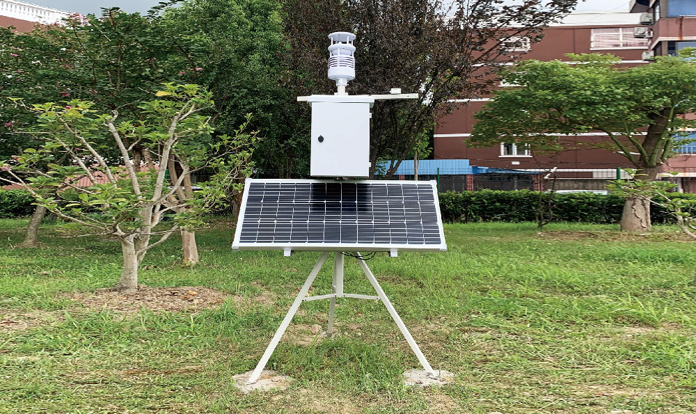 张家港市常青藤实验学校